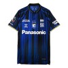 Camiseta Gamba Osaka Primera 2025-26 Camiseta Gamba Osaka Primera 2025-26